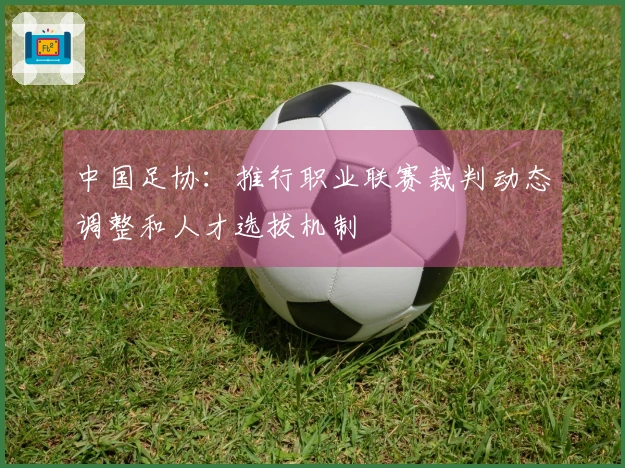 中国足协：推行职业联赛裁判动态调整和人才选拔机制